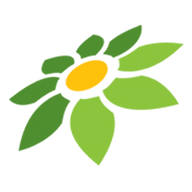 TOKOPEDIA LANGSUNG LAKU